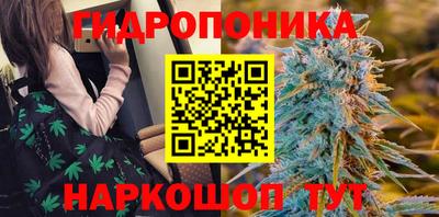 амф Кулебаки